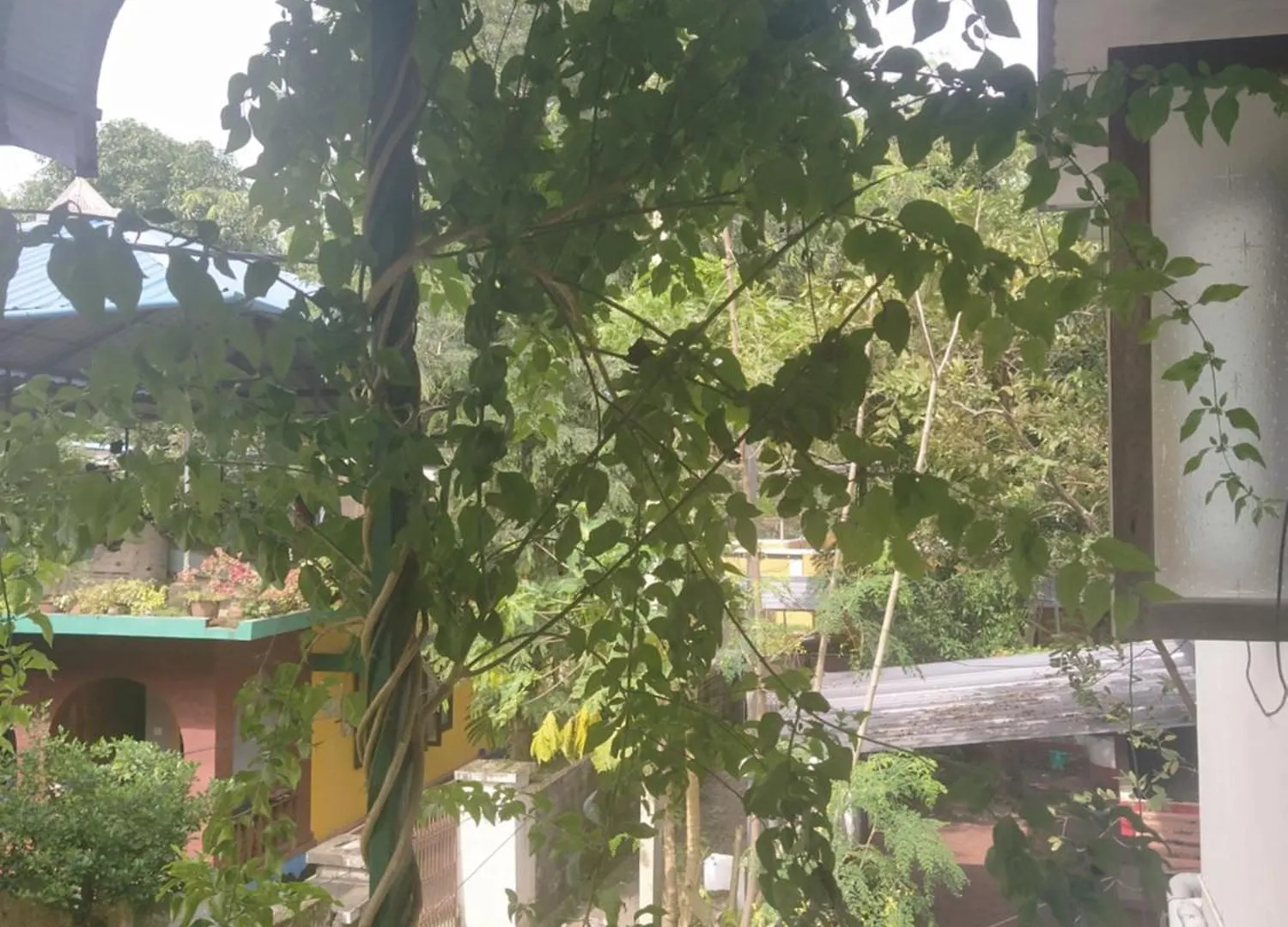 Paradise Inn Guest House Alappuzha 0*,